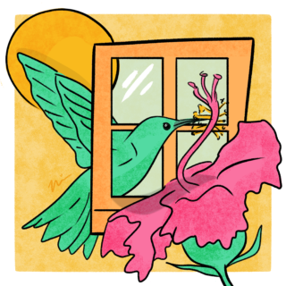 Illustration by Nia Chavez; a green hummingbird sipping a pink flower through a window.