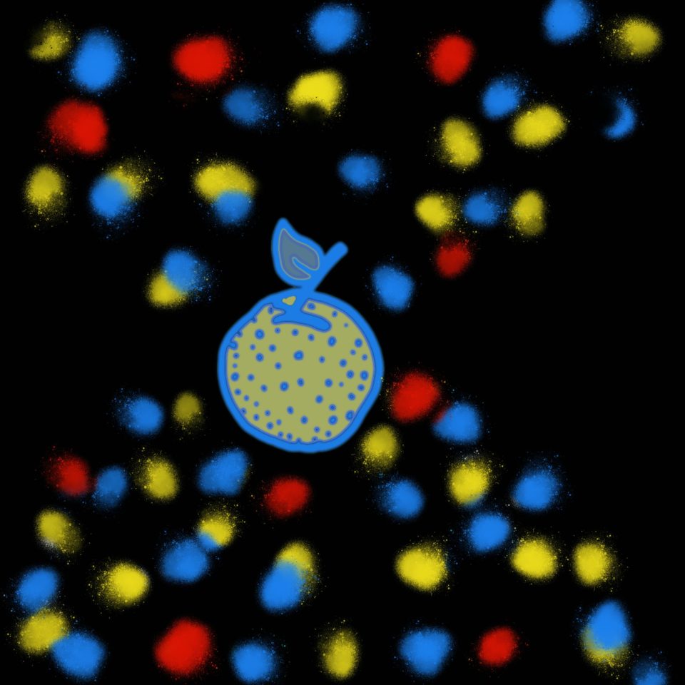 Illustration of yellow fruit on black background with primary color polka dots