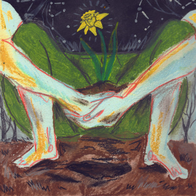 Illustration of two hands holding each other in front of spread legs and feet, which turn into grass and a blooming yellow flower in front of a star-filled night sky.