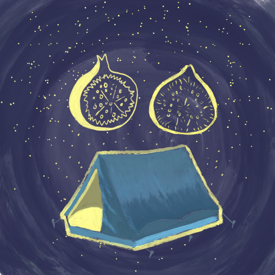 Illustration of a blue camping tent outlined in yellow against a dark blue starry night sky, with a yellow cross-section of a fig floating among the stars.
